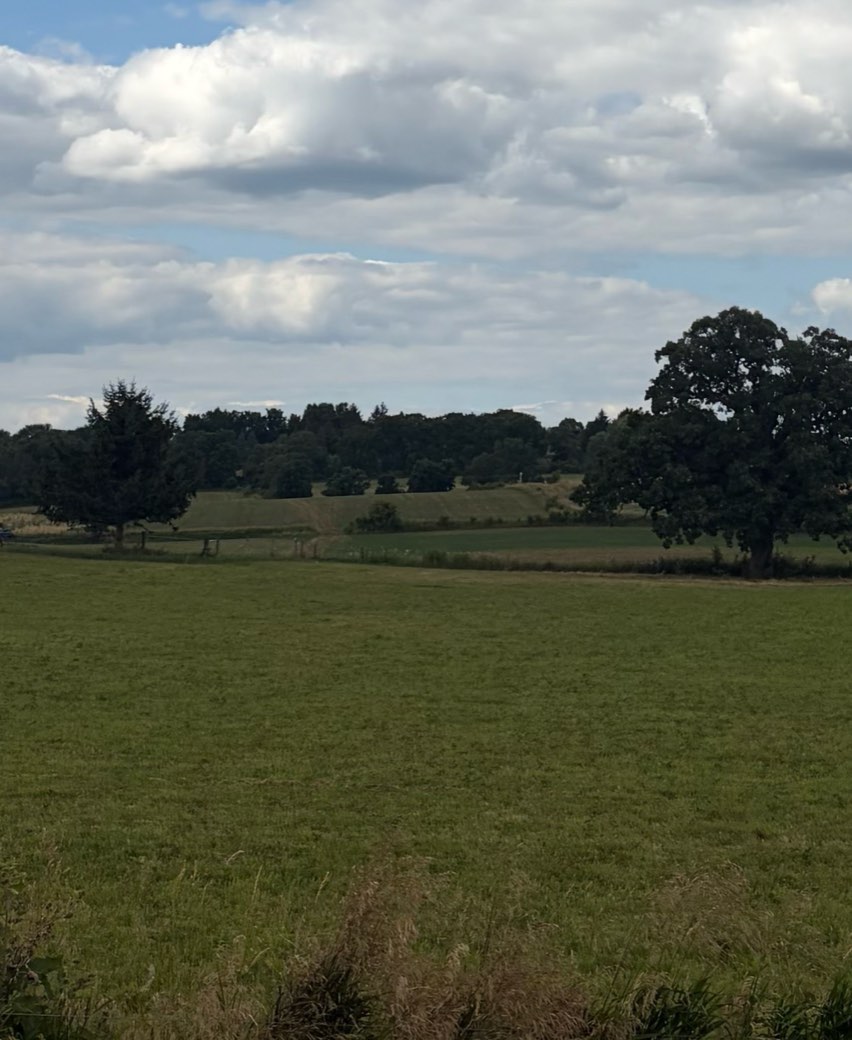 Open pasture running to a distant tree line under a wide sky